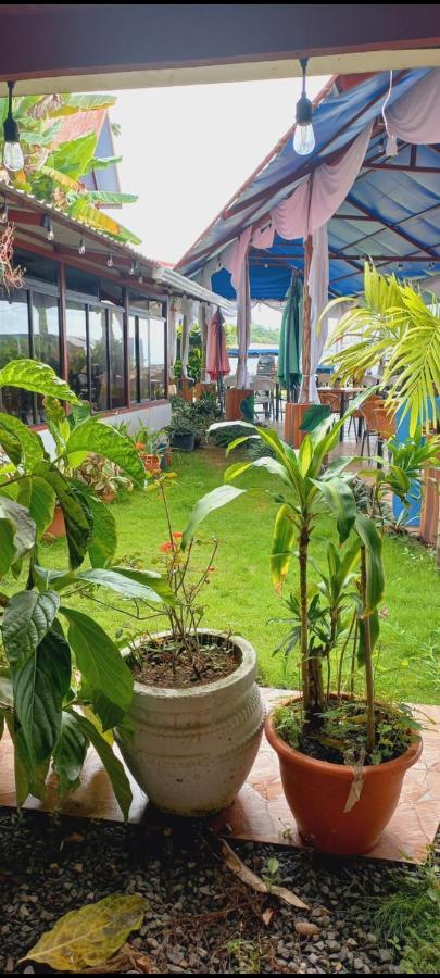 Hotel La Cueva Limon Luaran gambar